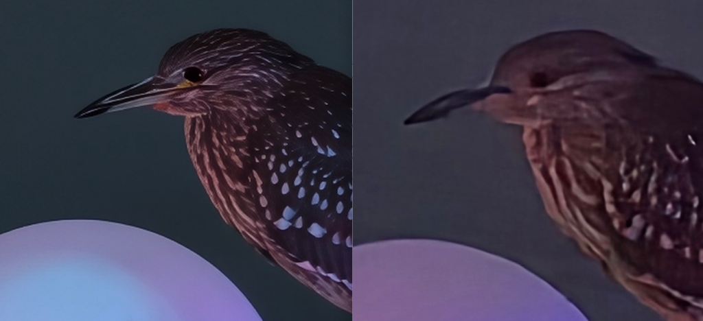 vivo X300 Pro vs Galaxy S25 Ultra camera test 35x