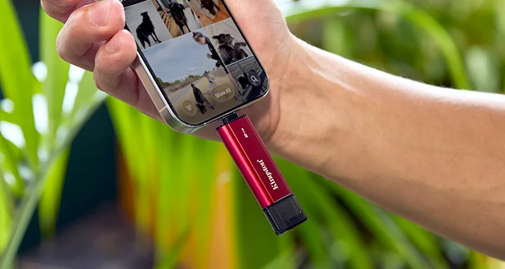 Kingston Dual Portable SSD