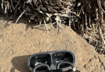 EarFun Clip 2 Review: Unexpected features in a mid-tier ear-clip