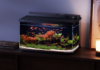 Dangbei launches Smart Fish Tank 2S Ultra with AI-powered care & full-spectrum lighting Dangbei Smart Fish Tank 2S Ultra