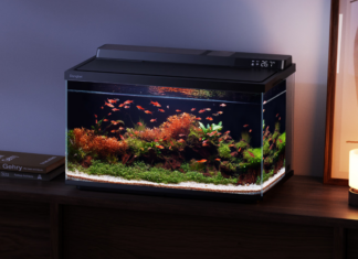 Dangbei launches Smart Fish Tank 2S Ultra with AI-powered care & full-spectrum lighting Dangbei Smart Fish Tank 2S Ultra
