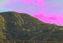 Oppo Find X9 Ultra users report strange pink tint issue in videos