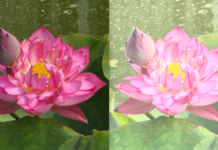 Sony’s Xperia 1 VIII AI camera demo backfires after overexposed samples go viral