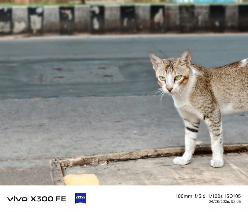 Vivo X300 FE portraits