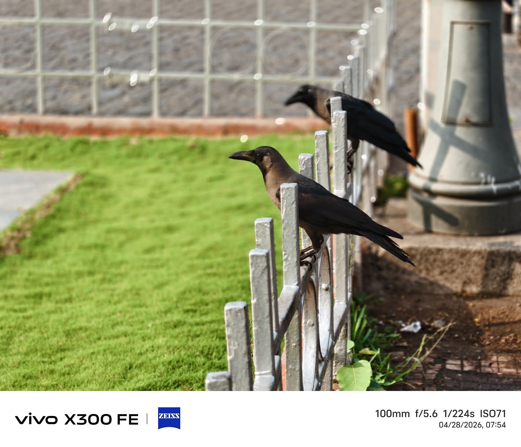 Vivo X300 FE portraits