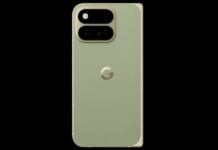 Google Pixel 11 Pro Fold Pine Color Leak