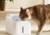 Xiaomi launches new Smart Pet Water Fountain with UV-C sterilization, four-stage filter, 3L tank