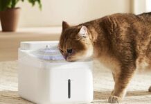 Xiaomi launches new Smart Pet Water Fountain with UV-C sterilization, four-stage filter, 3L tank