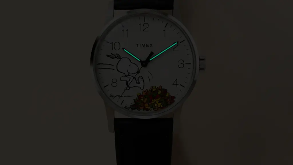 Timex Peanuts Waterbury Classic watch