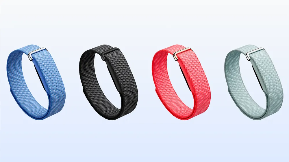 Google Fitbit Air