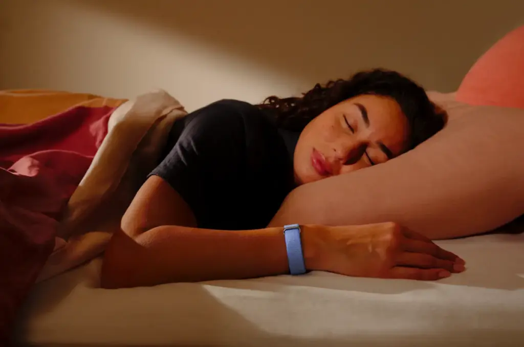 Google Fitbit Air