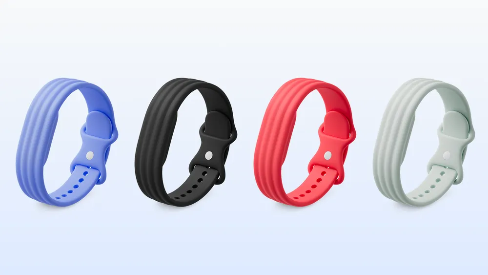 Google Fitbit Air
