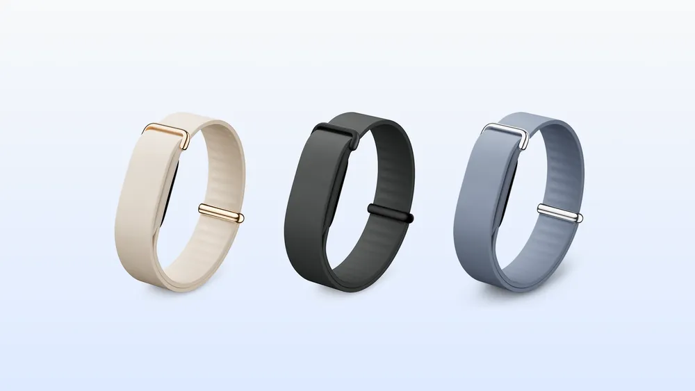 Google Fitbit Air