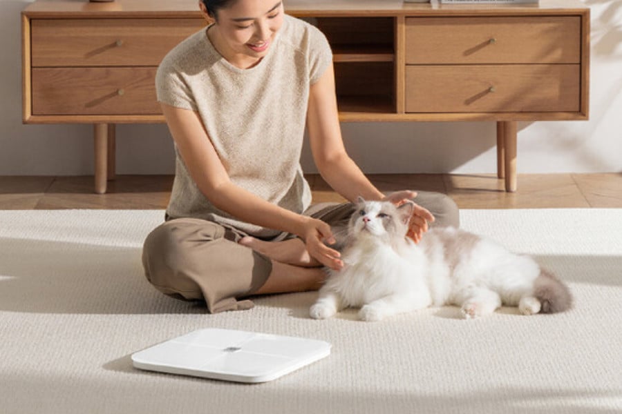 Xiaomi Mijia Body Fat Scale 4 Pro Launch specs price